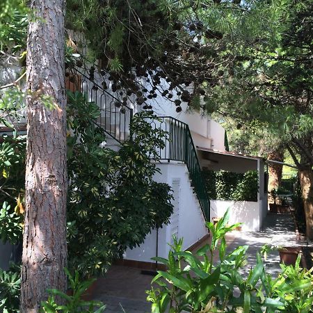 Villa Irene Vieste Eksteriør billede