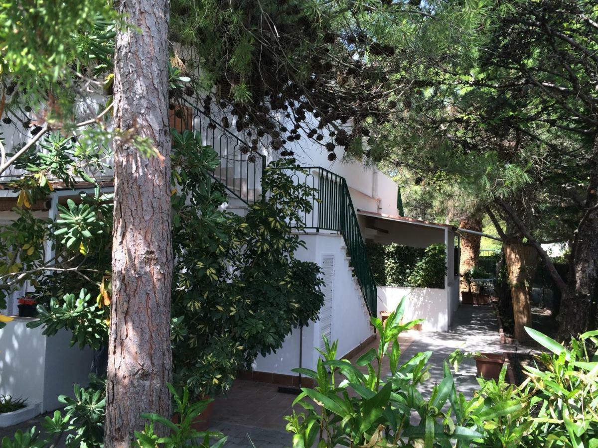 Villa Irene Vieste Eksteriør billede